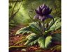 East Indian Arrowroot: Benefits, Health Properties, Culinary Uses, and Scientific Research