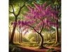 Eastern Redbud: Therapeutic Benefits, Applications, and Natural Properties