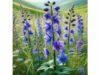 Larkspur is a toxic ornamental with bioactive compounds; it is unsafe for self-use and should only be appreciated in research or garden settings.