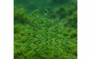 Spirulina (Arthrospira platensis): Evidence-Based Benefits, Uses, Dosage, and Safety. Explore spirulina benefits for cholesterol, blood pressure, and antioxidant support, plus evidence-based dosage, uses, and key safety tips.