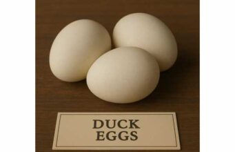 Duck eggs Benefits, nutrition facts per 100 g and how to cook them safely