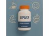Lipase: Digestive Enzyme Benefits, PERT Guidelines, Meal Timing, and Risks