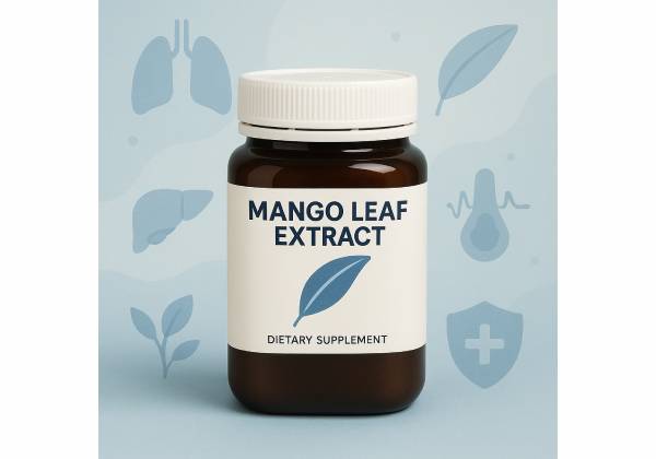 Mango Leaf Extract for cognition and metabolic health: proven benefits, optimal dosage, and side effects