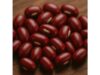 Adzuki beans nutrition, calories, protein and health benefits explained
