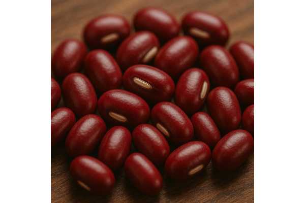 Adzuki beans nutrition, calories, protein and health benefits explained