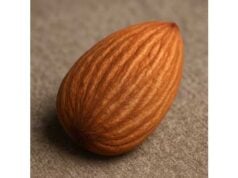 Almonds nutrition per 100 g, lipid effects, weight management, and cooking tips