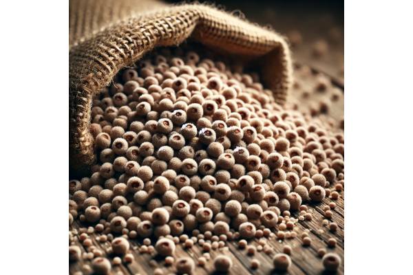 Amaranth health benefits, nutrition facts, and how to cook for best results