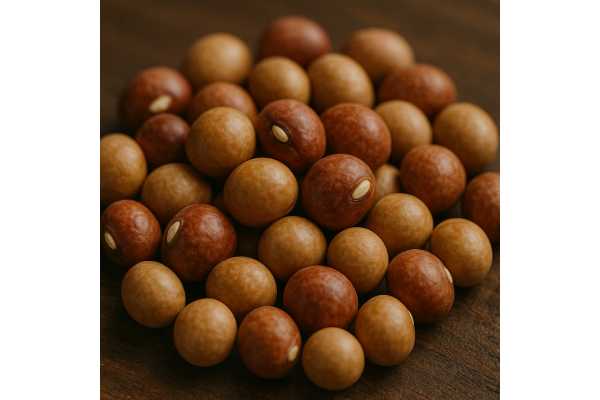 Bambara groundnut nutrition benefits, macros, minerals, and safe cooking guide