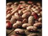 Borlotti beans benefits for heart and blood sugar, nutrition per 100 g, uses and risks