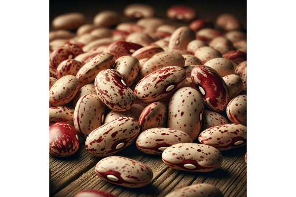 Borlotti beans benefits for heart and blood sugar, nutrition per 100 g, uses and risks