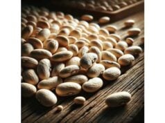 Cannellini beans nutrition benefits, macros, minerals, and safe cooking tips