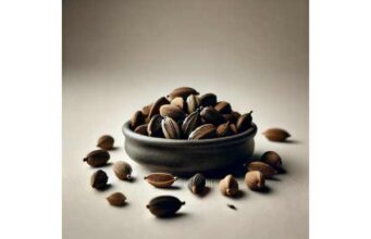 Cardamom (Black) health benefits, nutrition facts, culinary uses, and safety