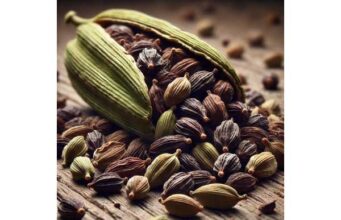 Cardamom seeds: How to Use, Evidence-Based Benefits, Nutrition Facts, and Side Effects