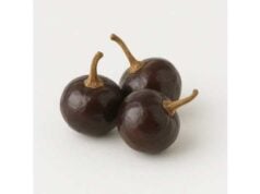 Cascabel pepper nutrition, health effects, cooking tips, and precautions