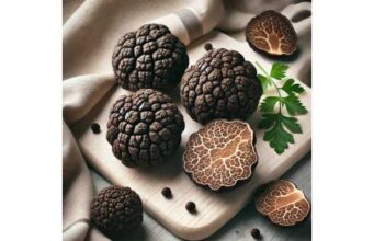 Chinese black truffle uses and precautions, complete nutrition profile and buying guide