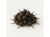 Cubeb complete guide to benefits, nutrition, dosing, contraindications and cooking ideas
