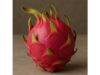 Dragon fruit health benefits and side effects, nutrition facts per 100 g, uses and storage