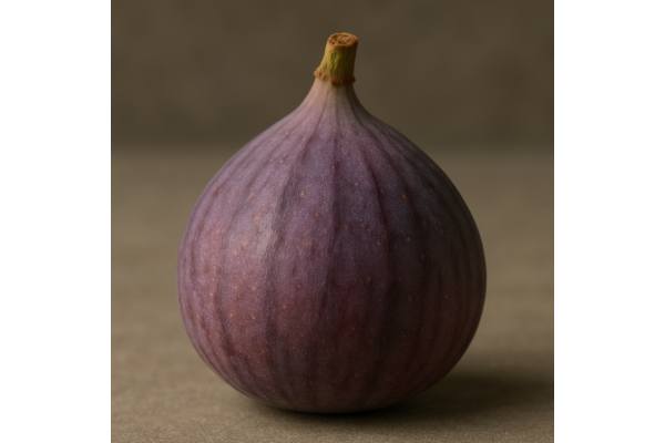 Fig benefits and risks explained: nutrition facts, digestion support, and allergy notes