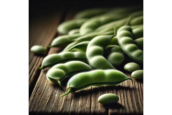 Flageolet beans protein, fiber, vitamins, and how to cook for best results