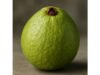 Guava complete guide: detailed overview, nutrition profile, evidence-based benefits and FAQs