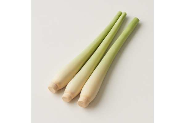 Lemongrass nutrition, antioxidants, essential oil properties, and safety guidelines