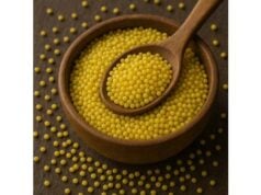 Millet nutrition facts and uses: diabetes-friendly recipes, mineral density, and safe storage