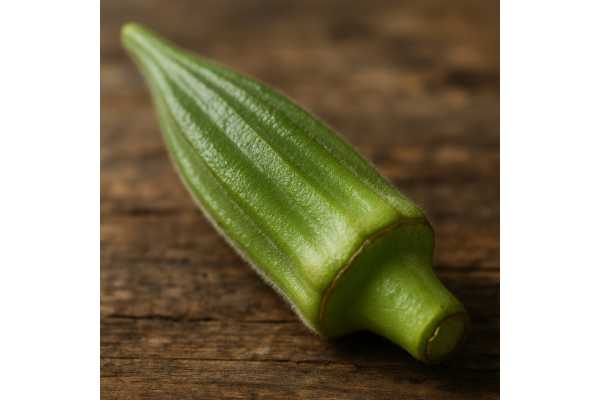 Okra health benefits nutrition facts weight loss support and side effects