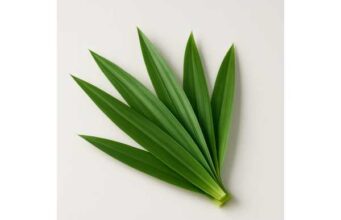 Pandan Leaf Nutrition and Bioactive Compounds, Evidence-Based Benefits, and Safety Considerations
