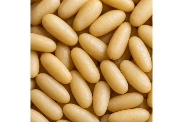 Pine nuts benefits and side effects, nutrition facts per 100 g, how to use and store