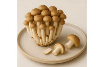 Shimeji mushroom detailed nutrition, beta-glucans and ergothioneine, preparation, and precautions