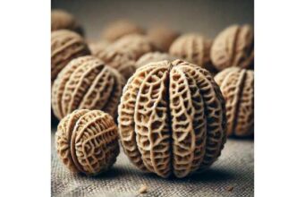 Tiger nuts nutrition facts and health benefits, uses, and safety