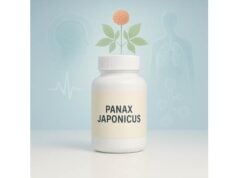 Panax japonicus dosage and uses for joint pain, liver protection, and healthy aging