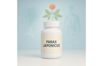 Panax japonicus dosage and uses for joint pain, liver protection, and healthy aging