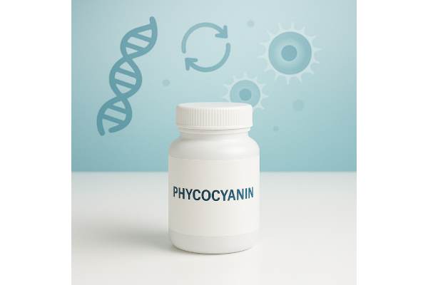 Phycocyanin antioxidant and anti-inflammatory benefits, dosage, and risks