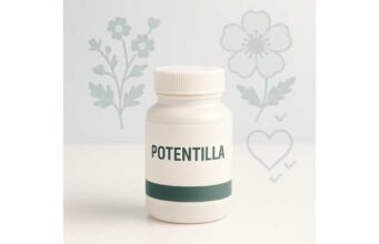 Potentilla herbal supplement benefits, gut and thyroid uses, dosage and safety guide