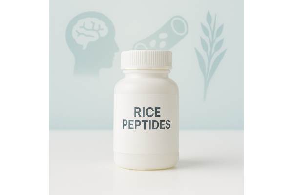 Rice peptides bioactive protein fragments for blood pressure, cholesterol, and vascular support