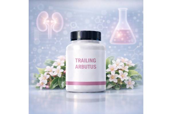 Trailing arbutus supplement guide: properties, advantages, and how to take it safely