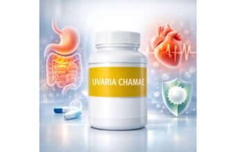 Uvaria chamae extract benefits, traditional uses, dosage guide, and risks