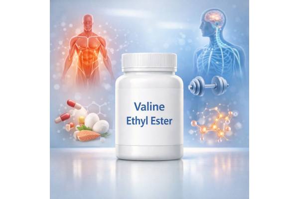 Valine ethyl ester, what it is, prodrug carrier, safety, and how to use