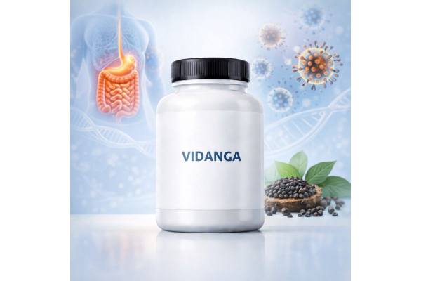 Vidanga benefits, uses, dosage, and side effects for digestion and parasites