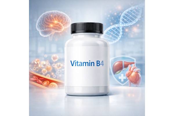 Vitamin B4, choline supplement forms, alpha-GPC, citicoline, and how to choose