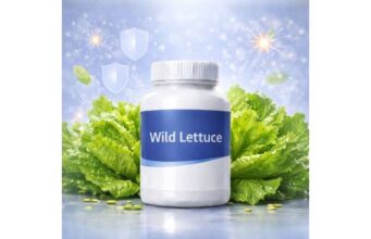 Wild Lettuce for Sleep, Relaxation, Stress Support, Dosage, and Safety Facts