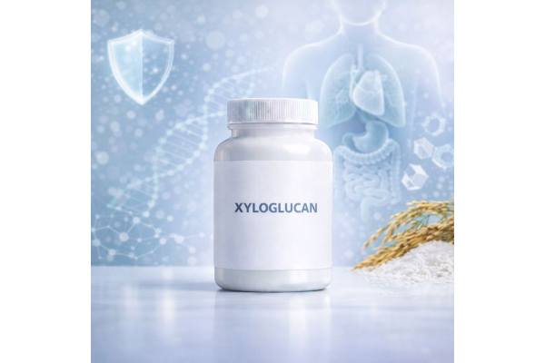Xyloglucan Benefits, gut barrier support, IBS relief, and diarrhea dosing guide