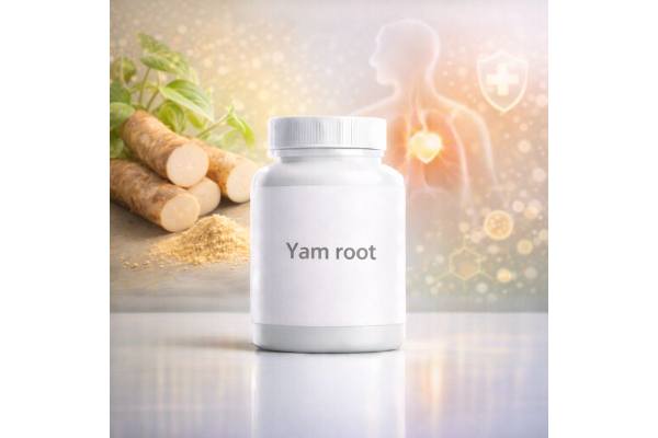Yam root, health benefits, nutrition facts, uses, dosage, and side effects