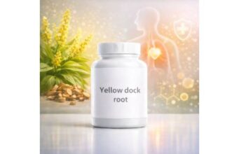 Yellow dock root, detox and digestion support, how to use, and risks