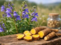 Baikal Skullcap for stress relief, inflammation support, dosage, and precautions