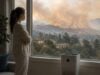 Learn how wildfire smoke affects immunity, why some people feel it more intensely, and the best ways to protect your lungs, airways, and indoor air during smoke events.
