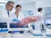 Understand D-dimer and fibrinogen results, including normal ranges, high and low patterns, clot breakdown, DIC, inflammation, bleeding risk, and next steps after abnormal coagulation blood tests.