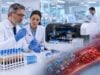 Learn what factor II activity measures, the normal prothrombin activity range, what low or high results mean, and which follow-up tests help explain abnormal clotting results.