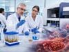 Learn what the factor VII activity test measures, normal adult and pediatric ranges, causes of low or high results, PT/INR patterns, bleeding risk, and follow-up testing.